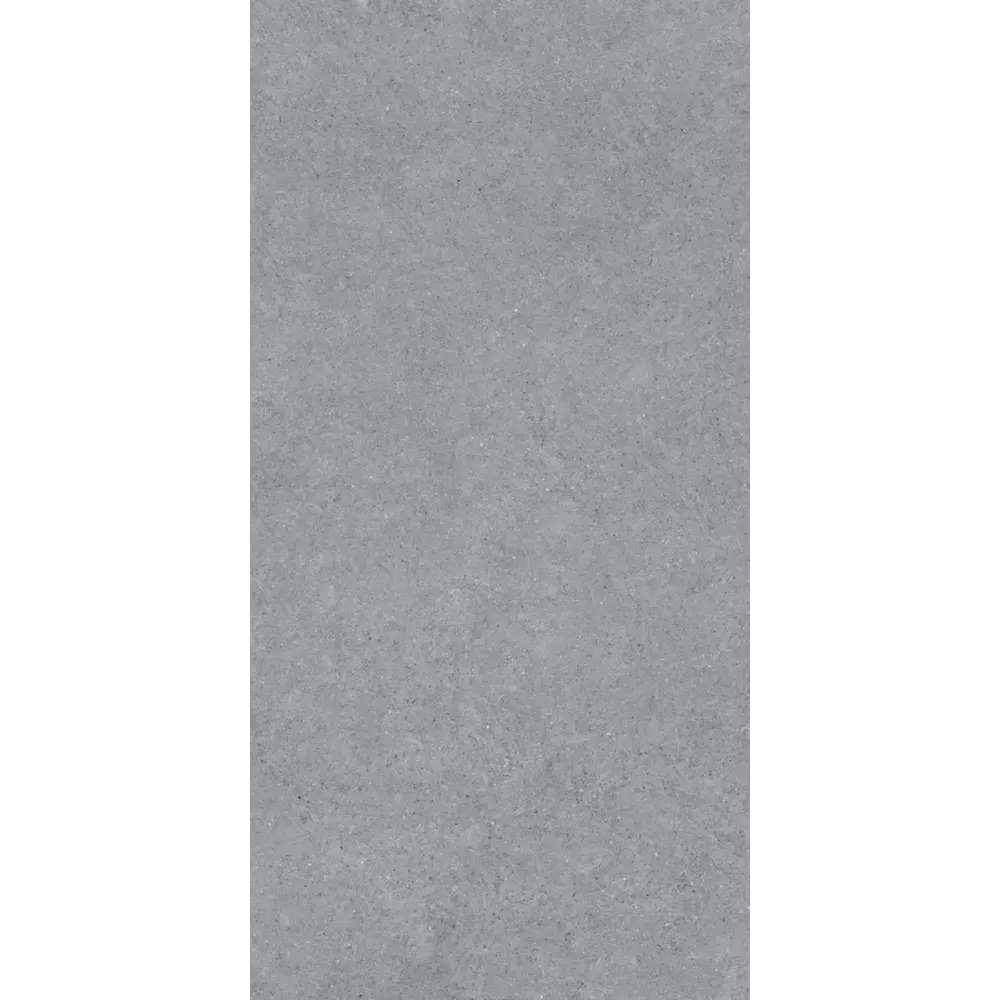 Керамогранит "Sonex" Forever Gris Matt 60x120x0.82 матовый цвет серый камень — купить в Йошкар-Оле