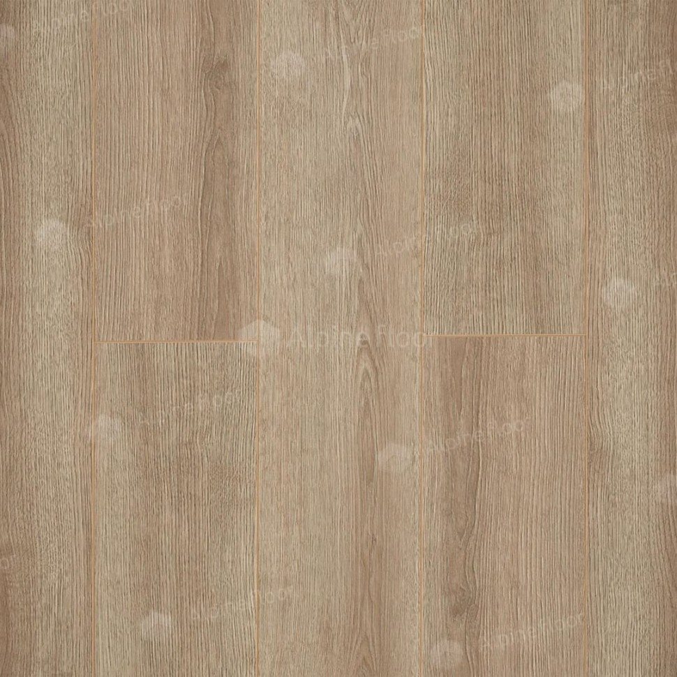 Ламинат "Camsan" Дуб Кашемир (1380*190*10 мм) — купить в Йошкар-Оле